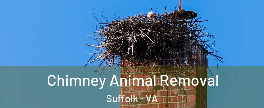  Chimney Animal Removal Suffolk - VA