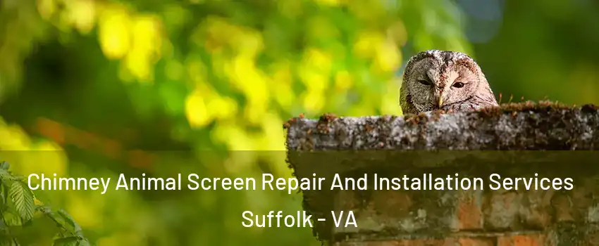  Chimney Animal Screen Repair And Installation Services Suffolk - VA